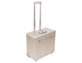17" Pilot Case 
